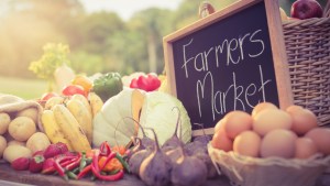 Wavebreakmediamicro/Dollar Photo Club